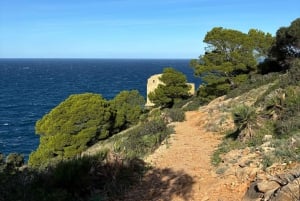 Serra de Tramuntana: Łatwa wycieczka wzdłuż wybrzeża z pięknymi widokami