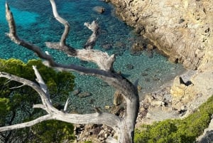 Serra de Tramuntana: Łatwa wycieczka wzdłuż wybrzeża z pięknymi widokami