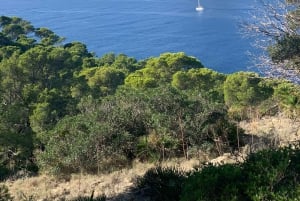 Serra de Tramuntana: Łatwa wycieczka wzdłuż wybrzeża z pięknymi widokami