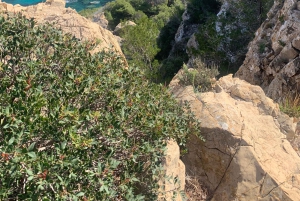 Serra de Tramuntana: Łatwa wycieczka wzdłuż wybrzeża z pięknymi widokami
