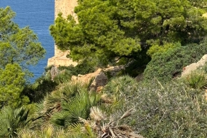 Serra de Tramuntana: Łatwa wycieczka wzdłuż wybrzeża z pięknymi widokami