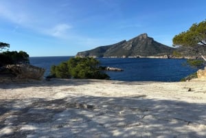 Serra de Tramuntana: Łatwa wycieczka wzdłuż wybrzeża z pięknymi widokami