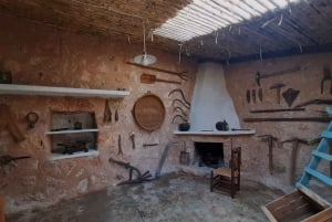 Serra de Tramuntana , Fornalutx: El olivo:cultura, cultivo, degustación.