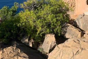 Serra Tramuntana: uma caminhada fácil e memorável com belas vistas