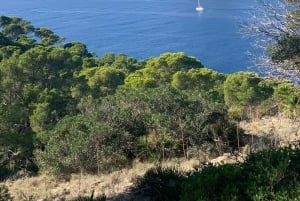 Serra Tramuntana: uma caminhada fácil e memorável com belas vistas