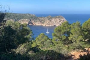 Serra Tramuntana: uma caminhada fácil e memorável com belas vistas