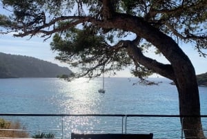 Serra Tramuntana: uma caminhada fácil e memorável com belas vistas