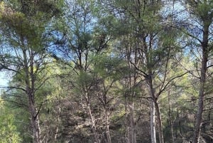 Serra Tramuntana: uma caminhada fácil e memorável com belas vistas