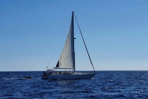 Tour condiviso in barca a vela di un giorno da Ibiza a Formentera