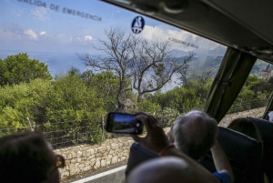Landutflykt: Valldemossa och Soller