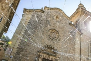 Landutflykt: Valldemossa och Soller