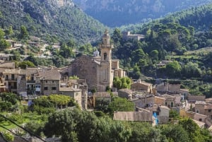 Landutflykt: Valldemossa och Soller