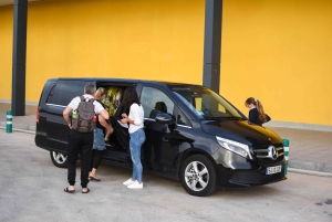 Excursión en tierra: Valldemossa y Soller