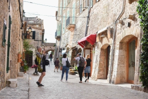 Excursión en tierra: Valldemossa y Soller