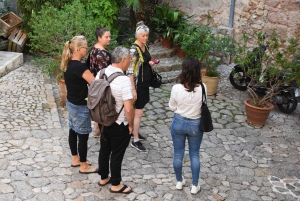 Excursión en tierra: Valldemossa y Soller