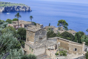 Excursión en tierra: Valldemossa y Soller