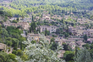 Excursión en tierra: Valldemossa y Soller