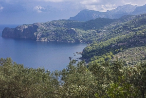Excursión en tierra: Valldemossa y Soller