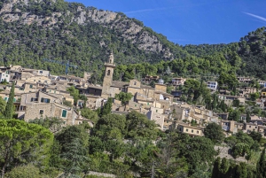 Excursión en tierra: Valldemossa y Soller