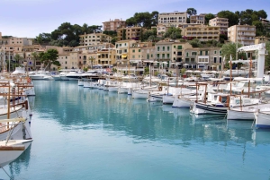 Excursión en tierra: Valldemossa y Soller