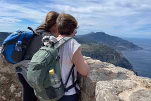 Desde Palma: Excursión por la Sierra de Tramuntana con picnic