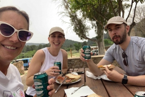 Desde Palma: Excursión por la Sierra de Tramuntana con picnic