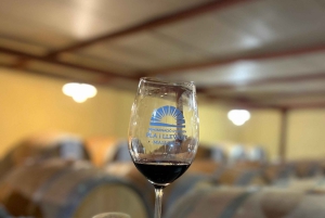 Liten gruppe - Eksklusiv olivenolje- og vintur på Mallorca