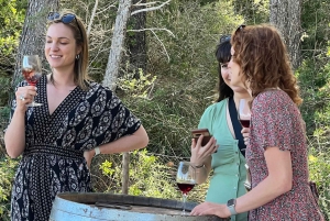 Liten gruppe - Eksklusiv olivenolje- og vintur på Mallorca