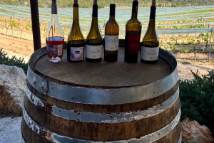 Liten gruppe - Eksklusiv olivenolje- og vintur på Mallorca