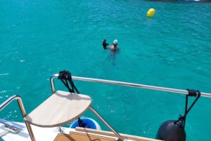 Experiencia de snorkel a bordo de E-Catamaran en la Bahía de Palma