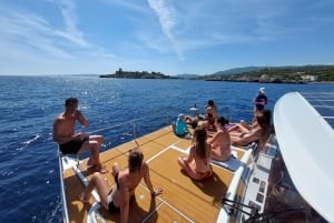 Snorkelervaring aan boord van E-Catamaran in Palma Bay