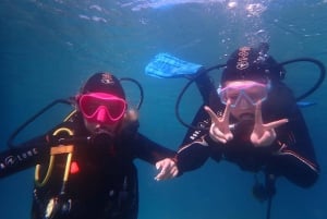 Snorkeling guided tours for tha all family!