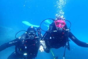 Snorklausta opastettuja retkiä tha koko perheelle!