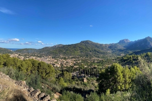 Sóller: Hike away from the hustle and bustle to the best view over the valley