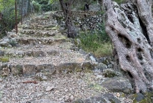 Sóller: Hike away from the hustle and bustle to the best view over the valley