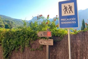 Sóller: Wanderung vom Orangental zum Hafen mit grandioser Aussicht