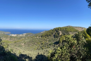 Sóller: Wanderung vom Orangental zum Hafen mit grandioser Aussicht