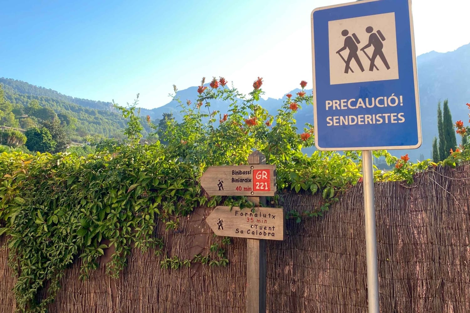 Sóller: escursione dalla valle delle arance al porto con una vista mozzafiato