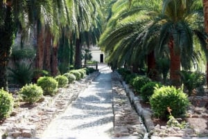 Sóller: Jardines de Alfabia -pääsylippu