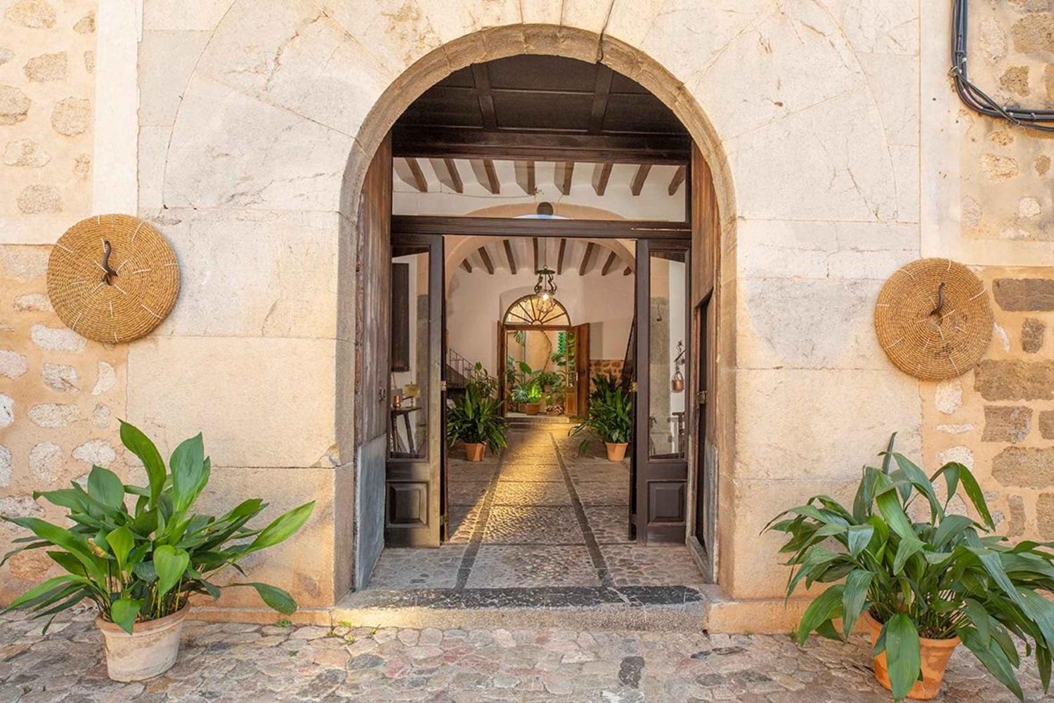 Sóller: Omvisning og prøvesmaking av olivenolje på Can Det Estate