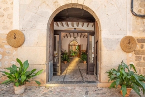 Sóller: Omvisning og prøvesmaking av olivenolje på Can Det Estate