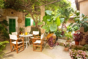 Sóller: Omvisning og prøvesmaking av olivenolje på Can Det Estate