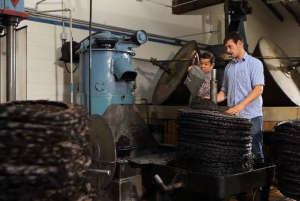 Sóller: Omvisning og prøvesmaking av olivenolje på Can Det Estate