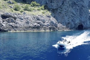 Soller: Rejs wycieczkowy prywatną łodzią ze sternikiem