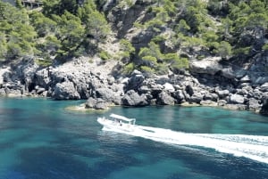 Soller: Rejs wycieczkowy prywatną łodzią ze sternikiem