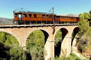 Depuis Alcúdia : Excursion d'une demi-journée en train et en tramway à Soller