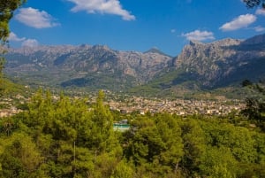 From Alcúdia: Soller Train and Tram Half Day Tour