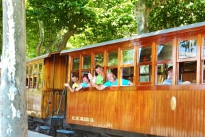 From Alcúdia: Soller Train and Tram Half Day Tour