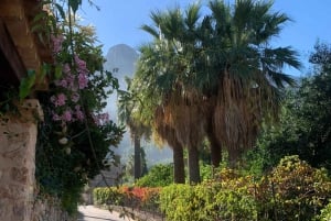 Soller valley walk: small villages and citrus farm visit