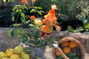 Vandring i Sollers dalgång: besök i små byar och citrusodlingar